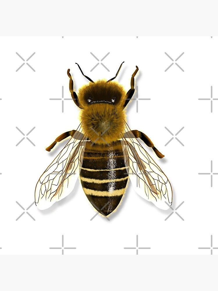 Honeycomb Bee Graphic Hoodie for Men Tops Pop 3D Insect Bees