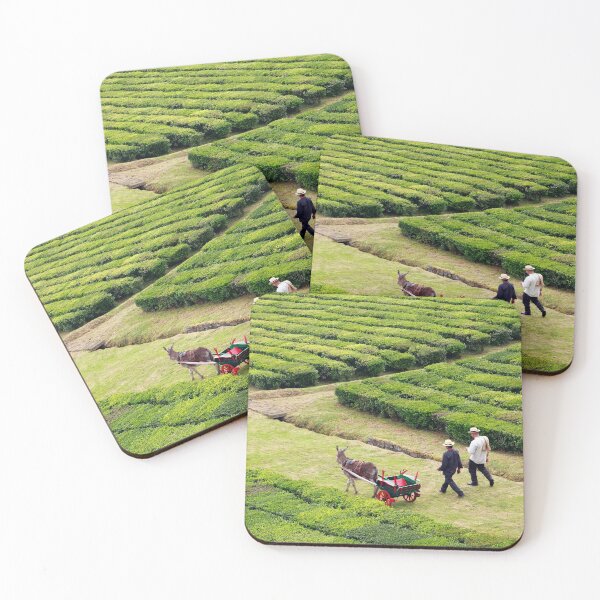 Item preview, Porto Formoso tea gardens designed and sold by Gaspar Avila.