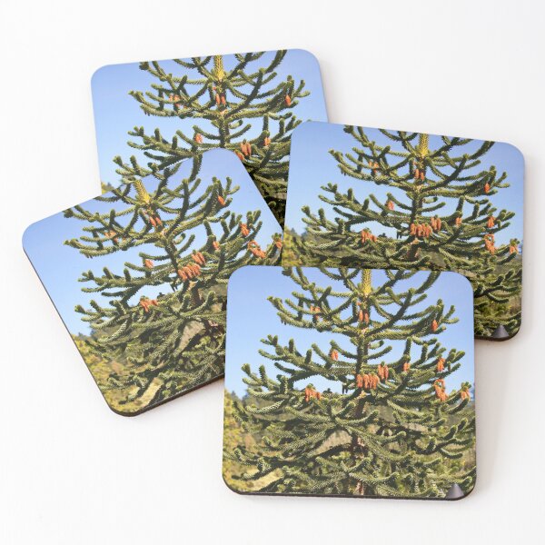 Item preview, Wollemi Pine - Ancient Tree designed and sold by Yannik Hay.