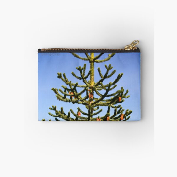 Item preview, Wollemi Pine - Ancient Tree designed and sold by Yannik Hay.