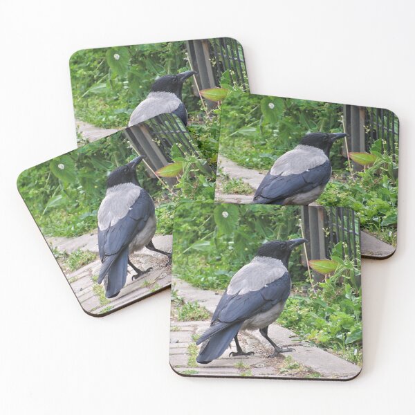 Item preview, Hooded Crow designed and sold by tomeoftrovius.