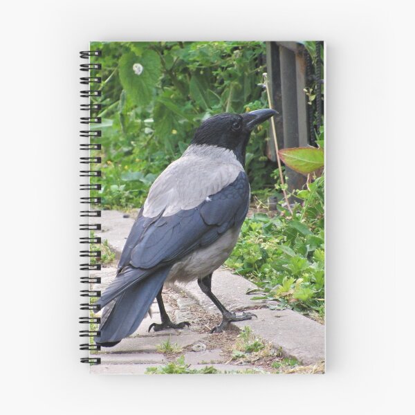 Item preview, Hooded Crow designed and sold by tomeoftrovius.