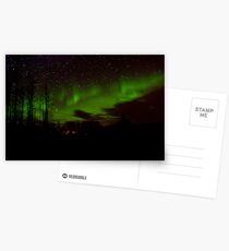 Early Morning Auroras Postcards