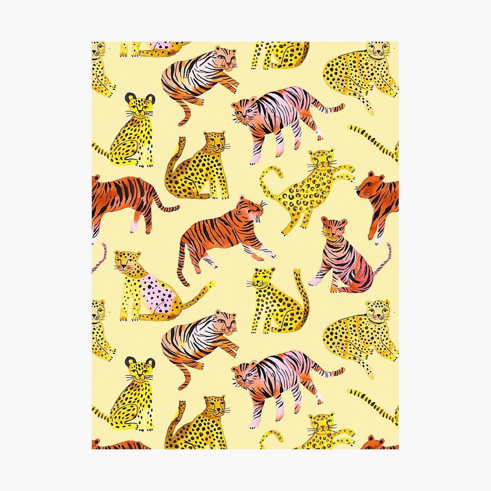 Tigers and Leopards Africa Savannah Photographic Print