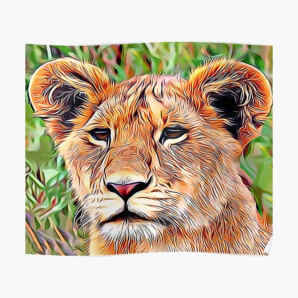 queen lioness queen lioness