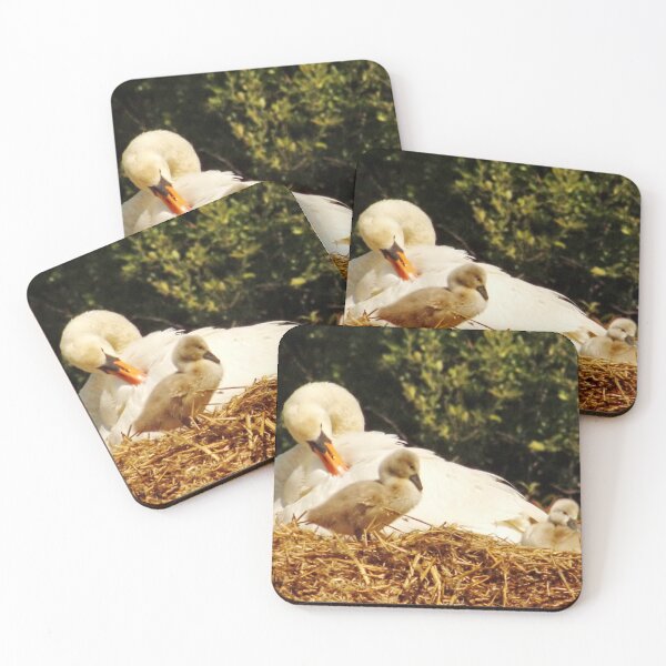 Item preview, Swans Nest designed and sold by AnnDixon.