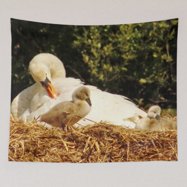 Item preview, Swans Nest designed and sold by AnnDixon.
