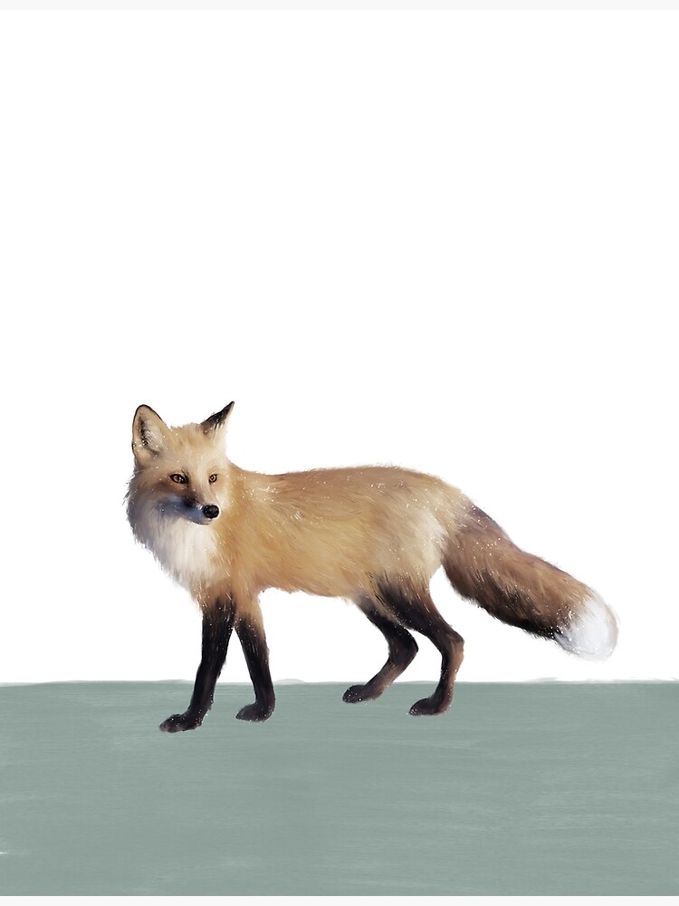 Fox on Sage by AmyHamilton