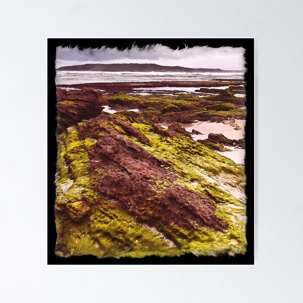 Item preview, Anvil Beach, Denmark, West Australia designed and sold by Andy and Von Quinn.