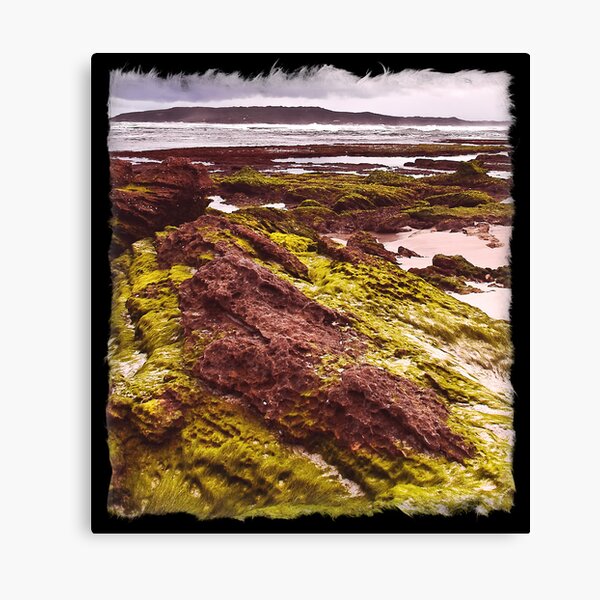 Item preview, Anvil Beach, Denmark, West Australia designed and sold by Andy and Von Quinn.