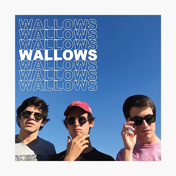 WALLOWSWALLOWSWALLOWS Photographic Print