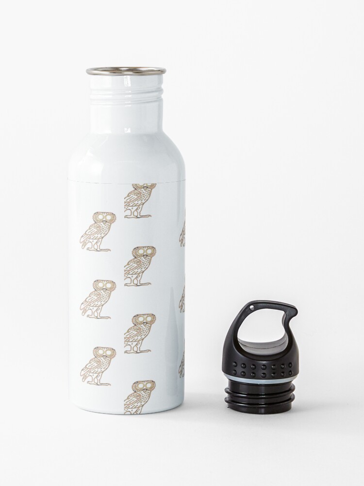 "Ancient owl" Water Bottle for Sale by sam18 Redbubble