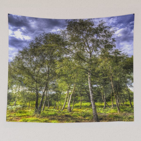 Item preview, A Forest Glade designed and sold by Londonimages.