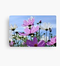 Petal Power in Pink Canvas Print