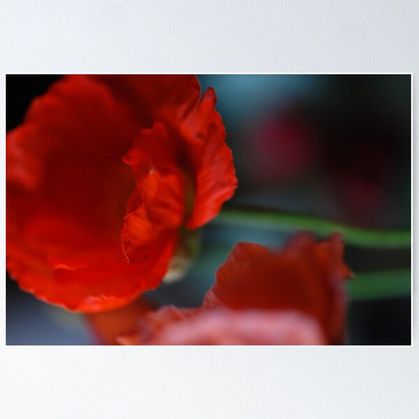Item preview, Red poppy designed and sold by Janet Leadbeater.