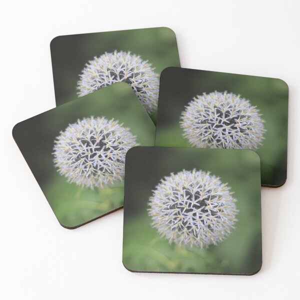 Item preview, How does your garden grow? designed and sold by Seashorepics.