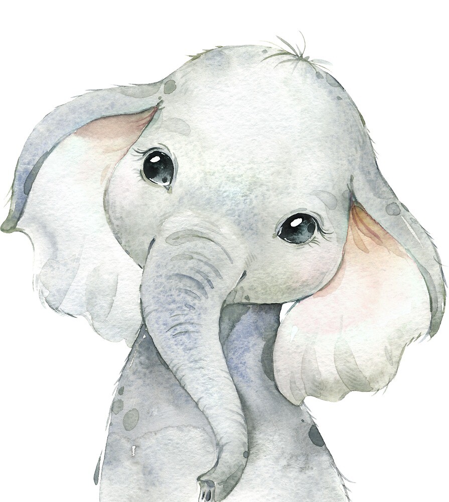 "Baby Elephant" by vibesofcolor Redbubble