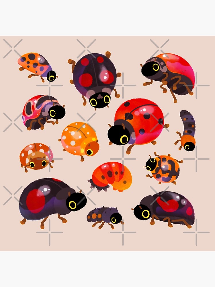 Lady beetles by pikaole