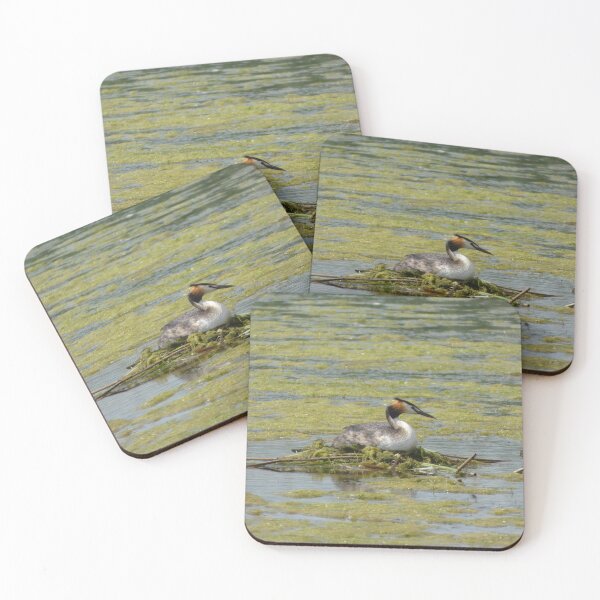 Item preview, Nesting Grebe designed and sold by C Rose.