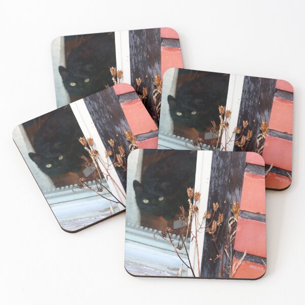 Item preview, Come Inside Silly Human  designed and sold by Niina  Niskanen.