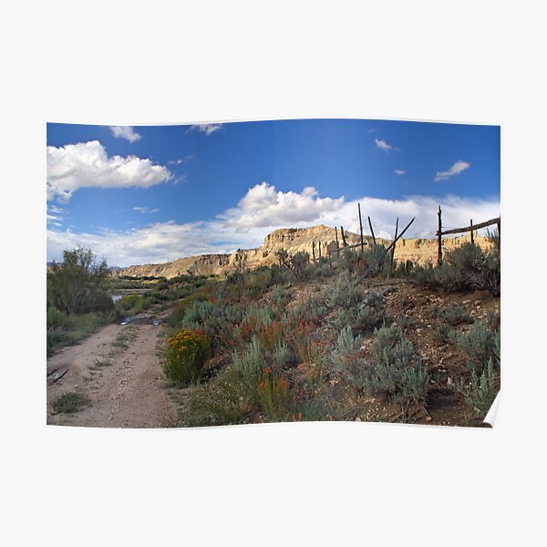 Dirt Road Wanderings ll Poster