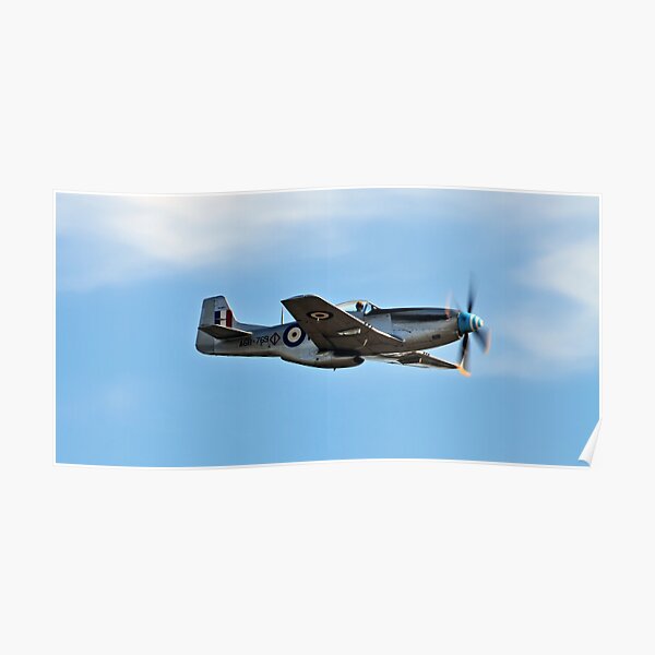Mustang Poster