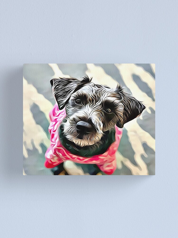 The Schnoodle A Schnauzer Poodle Mix Breed Canvas Print