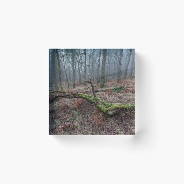 Artikelvorschau, Nebel in schwarzen Ausgusswäldern entworfen und verkauft von codaimages.