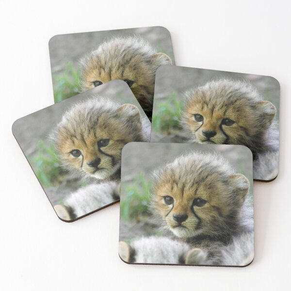 Item preview, Cheetah 013 designed and sold by JAMFoto.