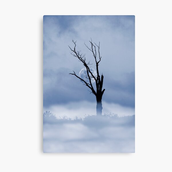 Full Moon Rising Canvas Print