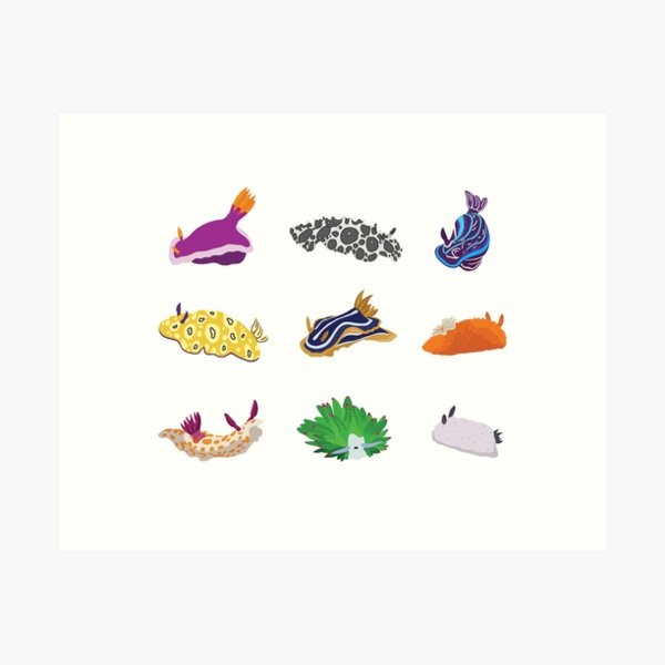 Item preview, Nudibranch Sea Slugs designed and sold by K Greco.