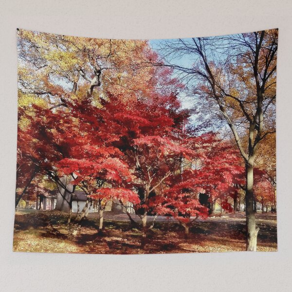 Item preview, Bright Red Autumn Tree designed and sold by Susan Savad.