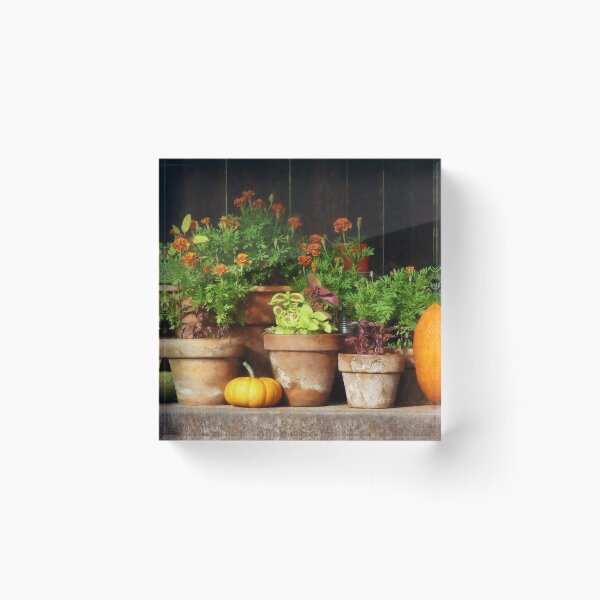 Item preview, Marigolds and Pumpkins designed and sold by Susan Savad.