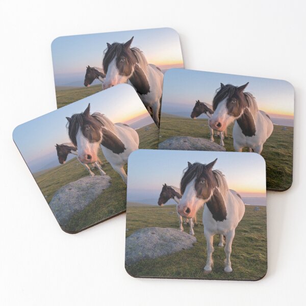 Item preview, Piebald Ponies at Sunset designed and sold by derekbeattie.