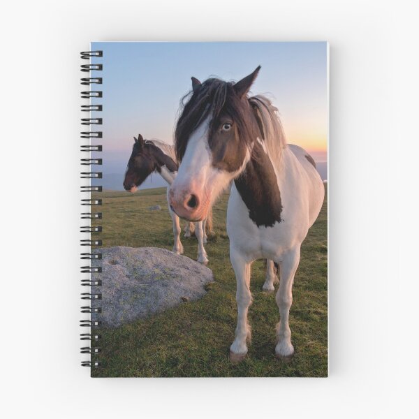 Item preview, Piebald Ponies at Sunset designed and sold by derekbeattie.