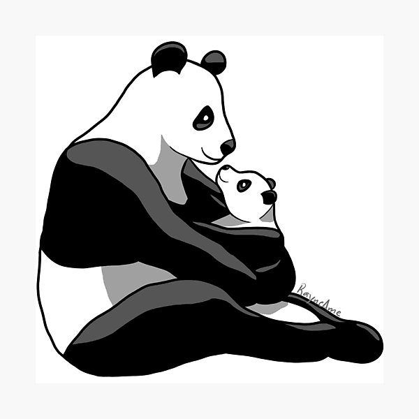 Panda Parent and Child 1 Photographic Print
