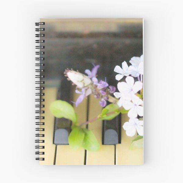 Item preview,  Cape plumbago Flowers on guitar Weranga QLD Australia designed and sold by Amanda Marchant Fine Art Photography.
