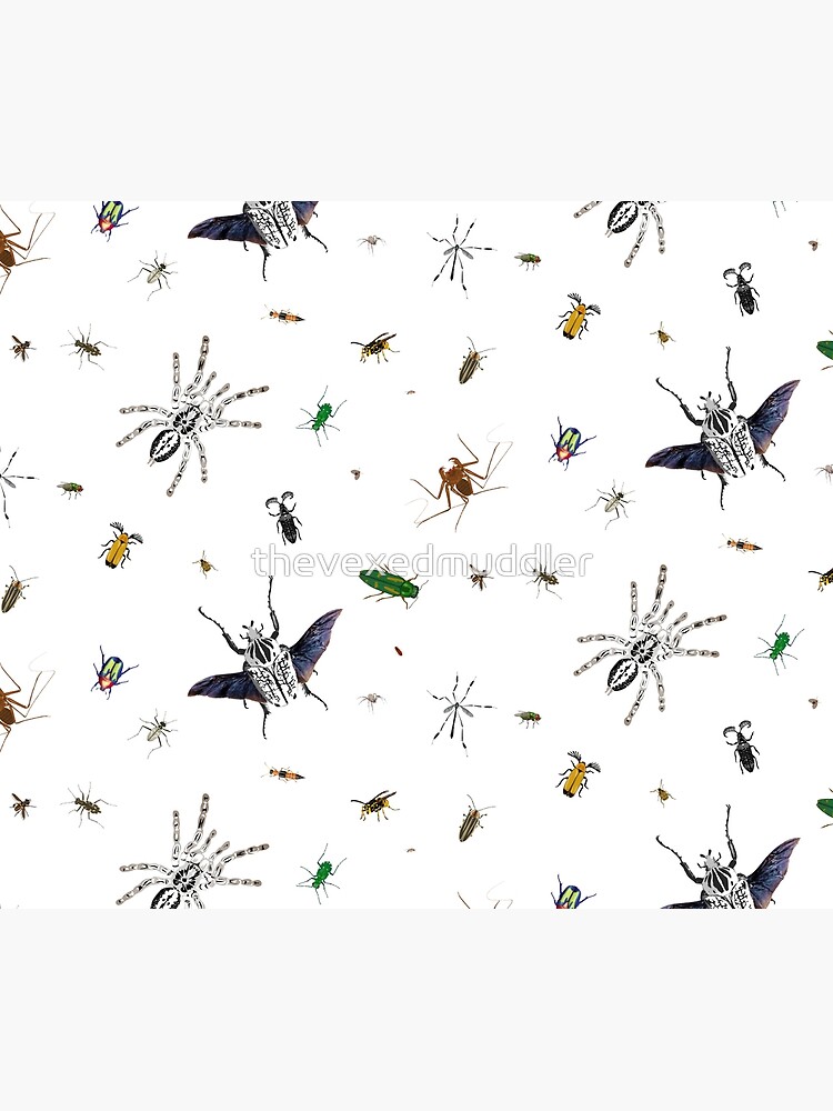 Entomologist's Dream by thevexedmuddler