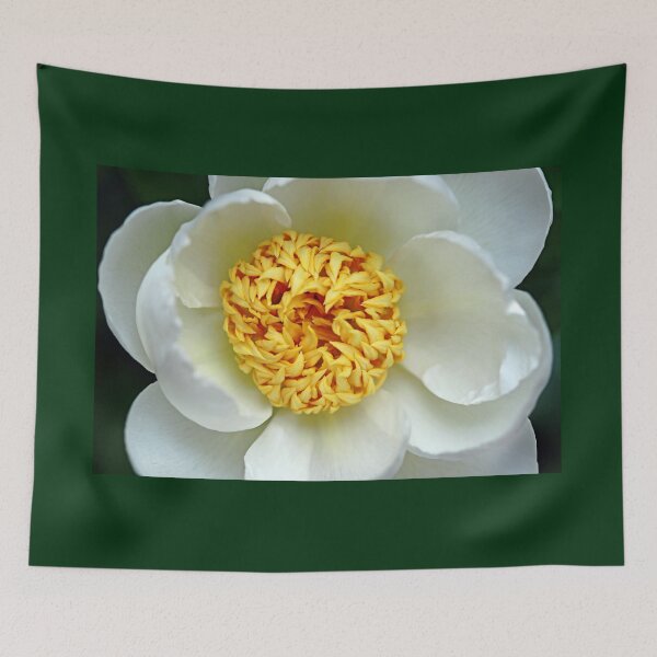 Item preview, Classic White Peony designed and sold by Deb Oppermann.