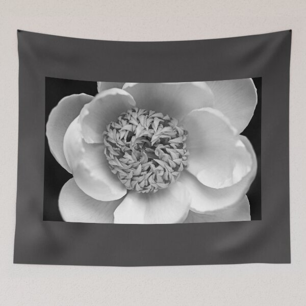 Item preview, Classic White Peony Black And White designed and sold by Deb Oppermann.