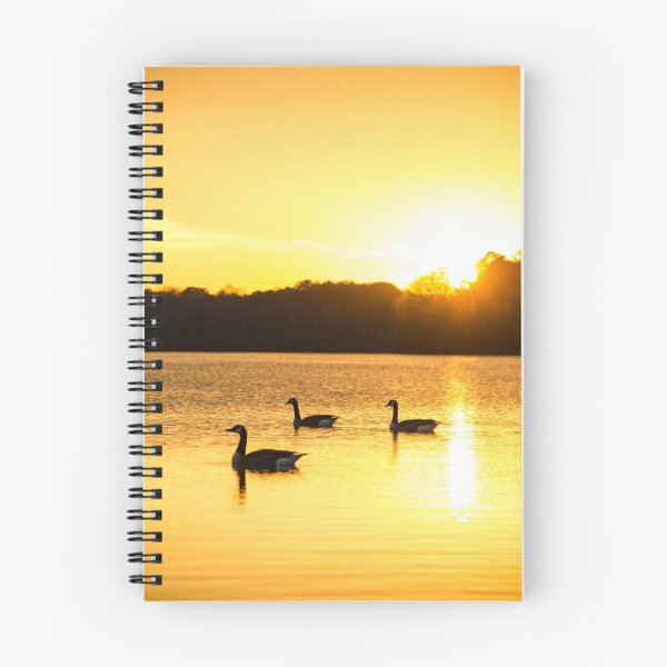 Item preview, Get Your Ducks in a Row designed and sold by ctellis156.