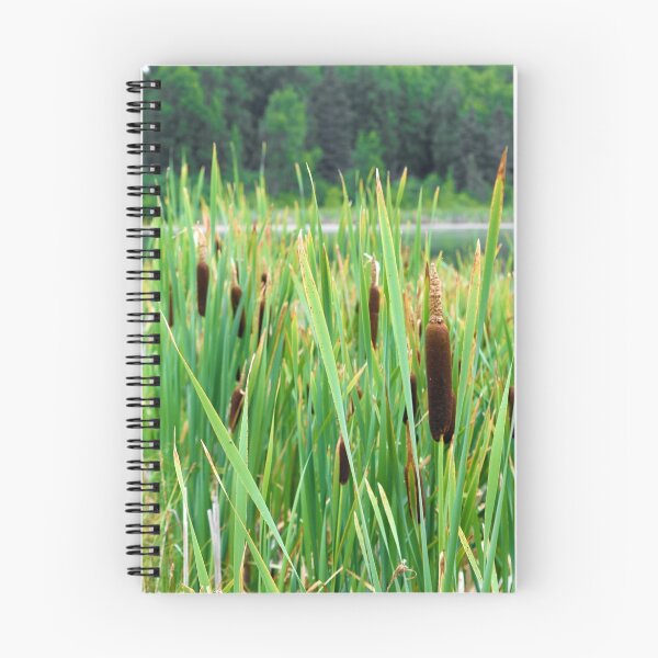 Item preview, Typha aka Cattails designed and sold by ADM  Photography.