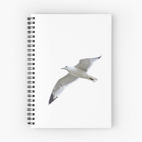 Item preview, Gull designed and sold by ctellis156.