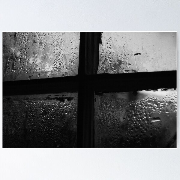 rain Poster