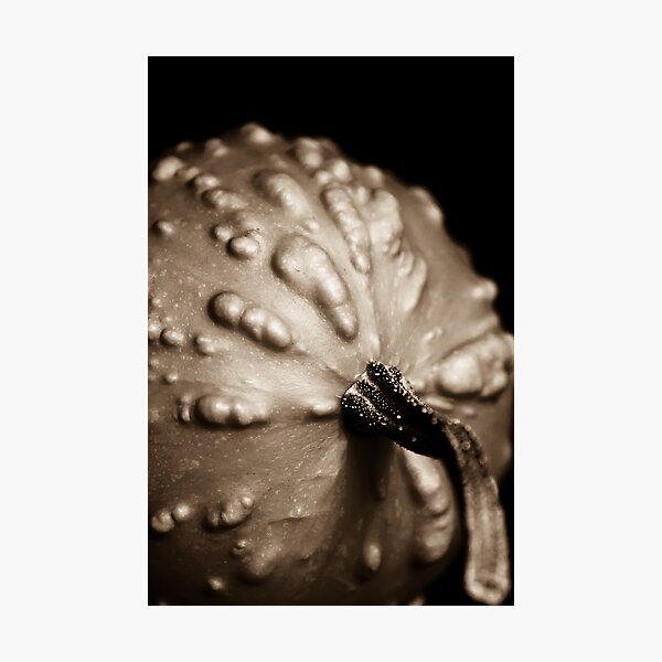 OnePhotoPerDay Series: 282 by C. Photographic Print