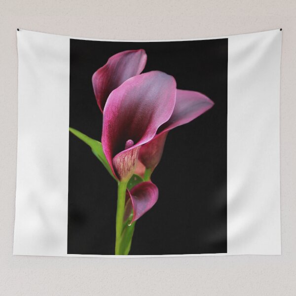 Item preview, Beautiful Calla Lily designed and sold by vette.