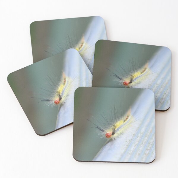 Item preview, White-Marked Tussock Moth Caterpillar designed and sold by What I See by Dawne.