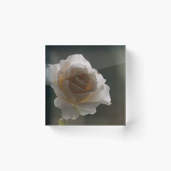 Item preview, Turkish Delight designed and sold by coffeebean.