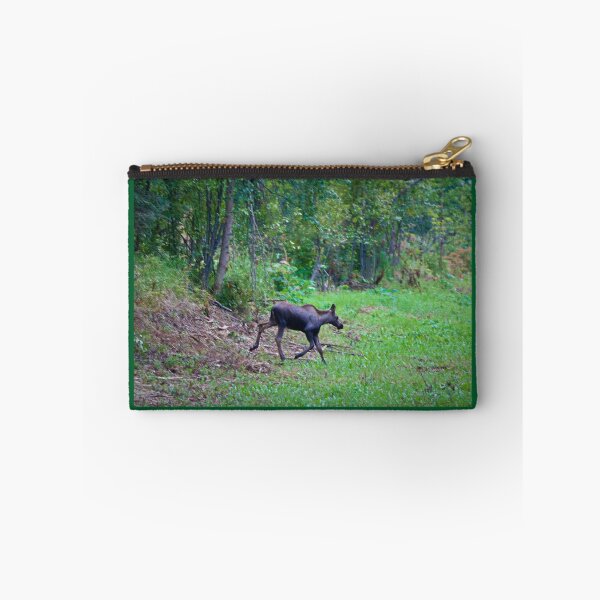 Item preview, Baby Moose designed and sold by ADM  Photography.