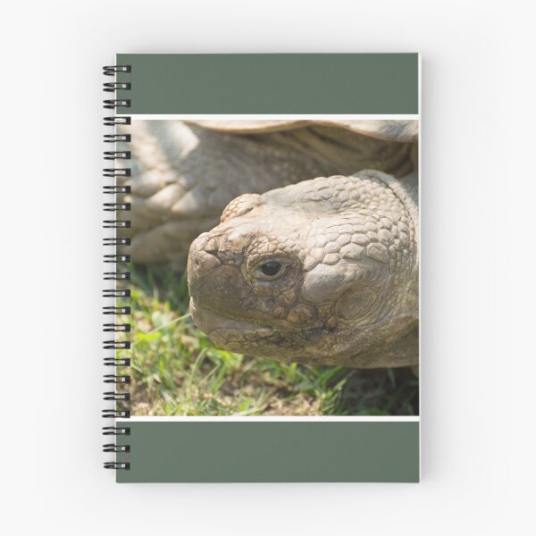 Item preview, Thinking Tortoise designed and sold by LizardSpirit.